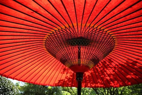 Alt hvad du behøver at vide om at vælge den perfekte haveparasol