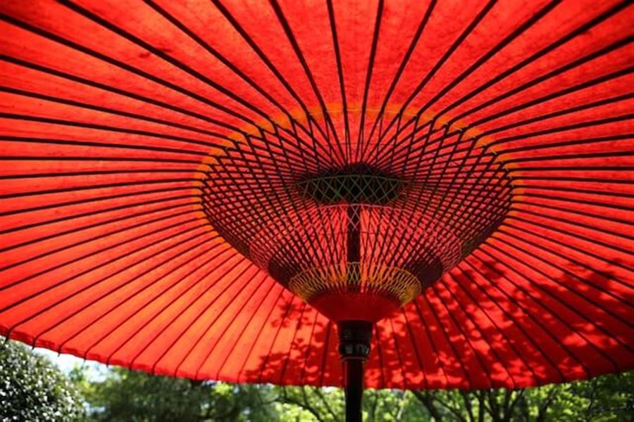 Alt hvad du behøver at vide om at vælge den perfekte haveparasol